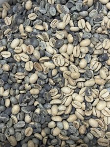 ND Trailblazers Blend