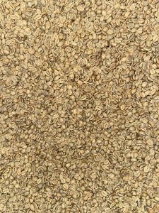 Brazil Daterra Yellow Bourbon Rain Forest Alliance