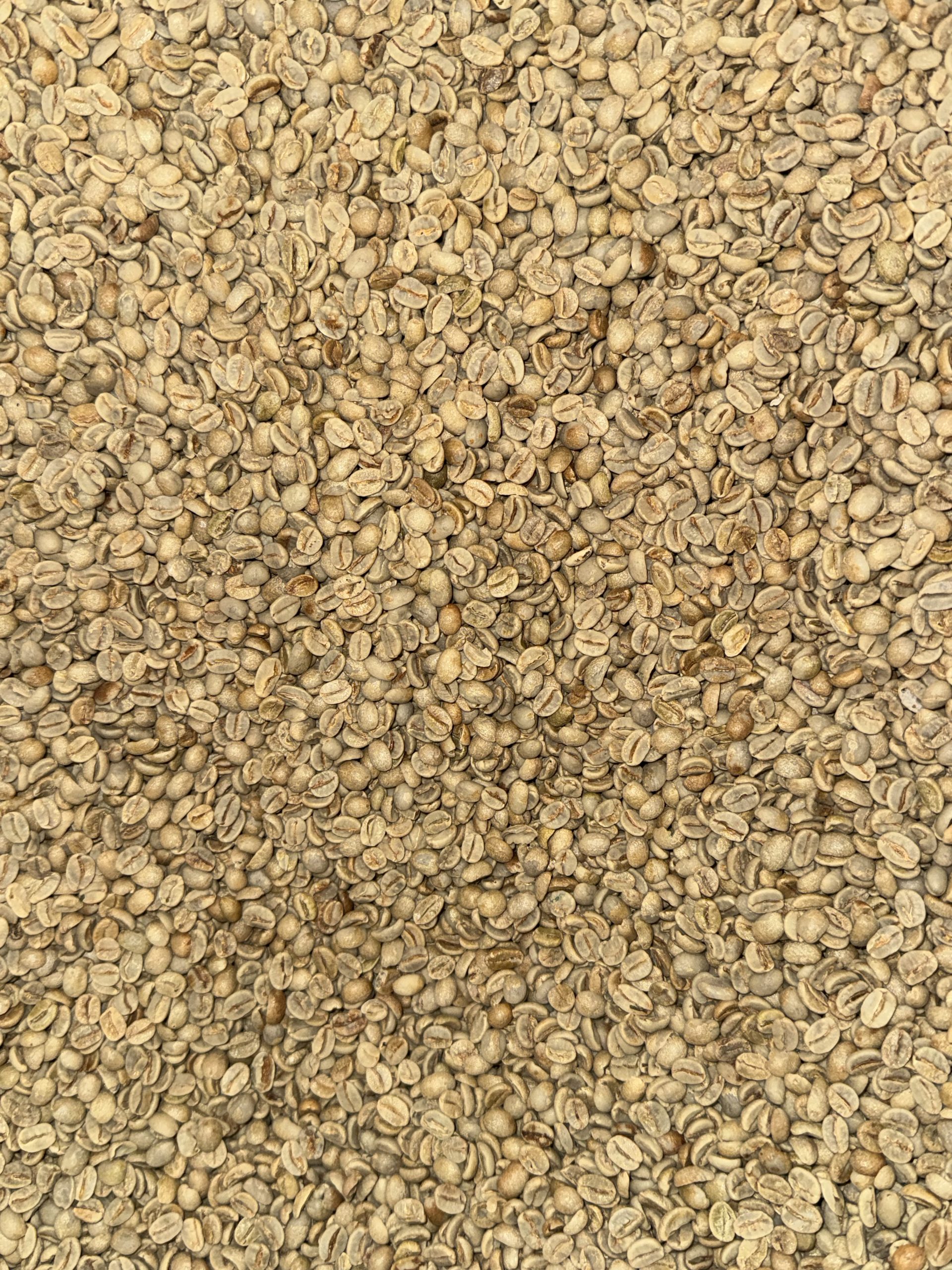 Brazil Daterra Yellow Bourbon Rain Forest Alliance